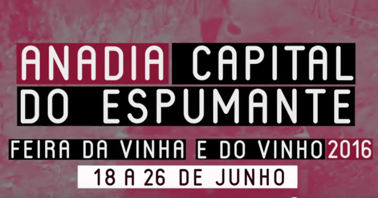 feira vinha vinho cartaz p1 2016