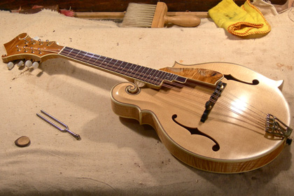 Andy Manson Bluegrass Mandolin