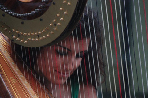 Carolina Coimbra, Harpa